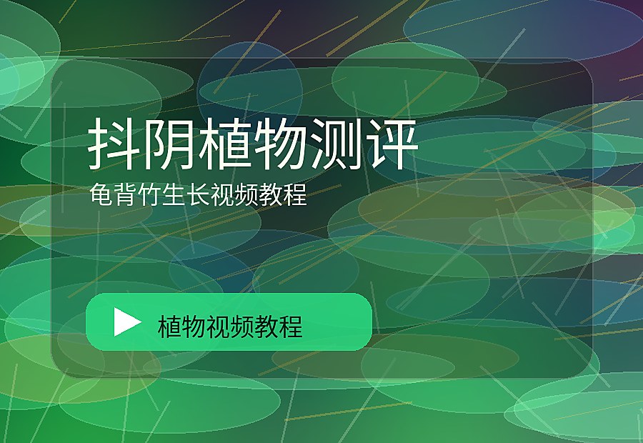 海角绿影