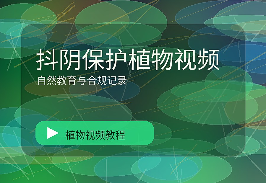 海角绿影