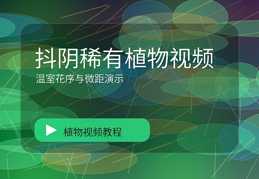 海角绿影